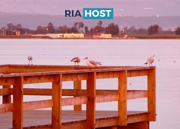 Apartment Ocean And River *